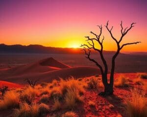 Warum ist Namibia landschaftlich einzigartig?