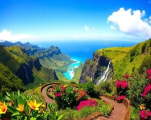 Was macht Madeira zum Naturparadies?